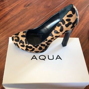 Aqua Brown Pony (Great Condition)